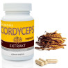 Cordyceps extrakt (60 kapslí)