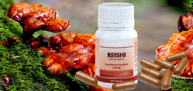 red reishi vytamínový doplněk