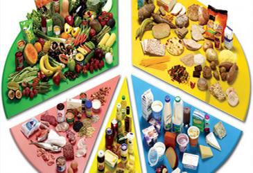 Základní rozdělení potravin