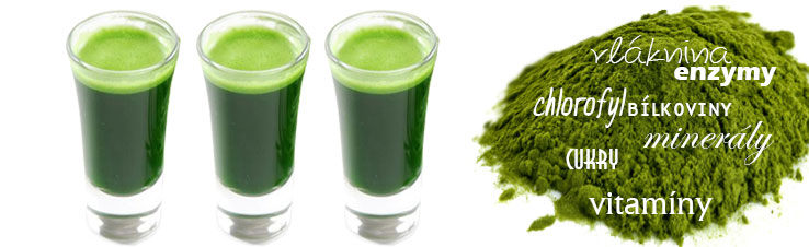 BIO mladá pšenice - výživné látky